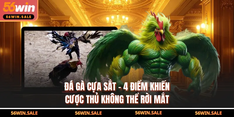 Đá Gà Cựa Sắt - 4 Điểm Khiến Cược Thủ Không Thể Rời Mắt
