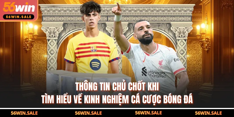 Thông tin chủ chốt khi tìm hiểu về kinh nghiệm cá cược bóng đá